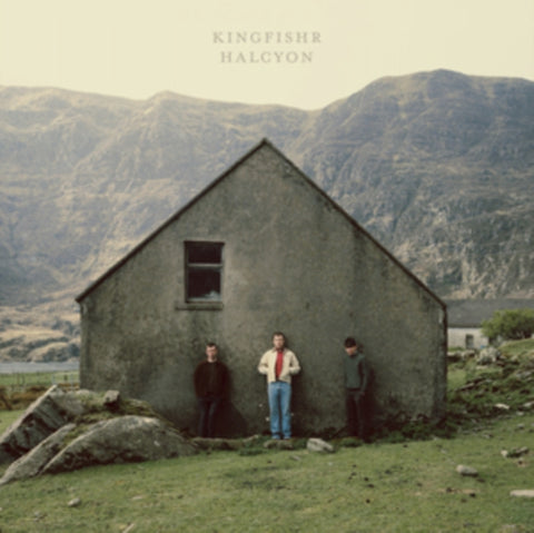 KINGFISHR - HALCYON