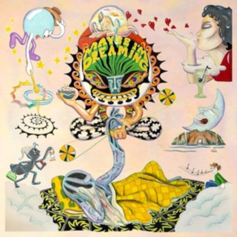 VARIOUS ARTISTS - MAYBE IM DREAMING