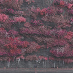 SLEEP TOKEN - EVEN IN ARCADIA (2LP) (Vinyl LP)