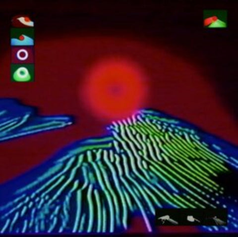 BLANKFOR.MS - AFTER THE TOWN WAS SWEPT AWAY (Vinyl LP)