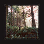 HEYNDERICKX,HALEY - SEED OF A SEED (Vinyl LP)