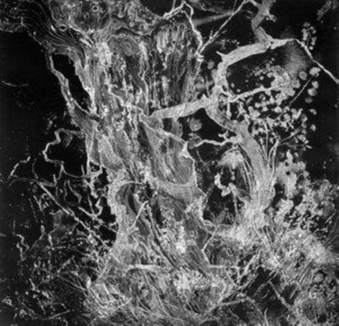 BRUIT - MONOLITH (Vinyl LP)