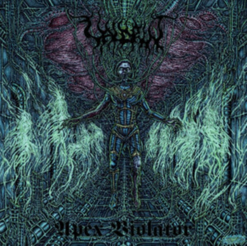 VALDRIN - APEX VIOLATOR (COLOURED VINYL) (Vinyl LP)