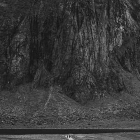 DEFACEMENT - DOOMED (COLOR VINYL) (Vinyl LP)