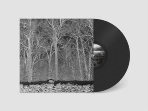 PILE - SUNSHINE & BALANCE BEAMS