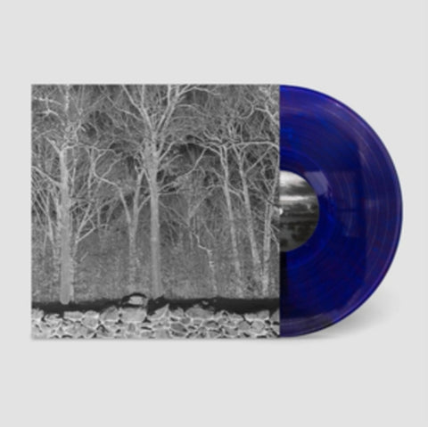 PILE - SUNSHINE & BALANCE BEAMS (TRANSPARENT MIX BORIS PURPLE VINYL) (I)