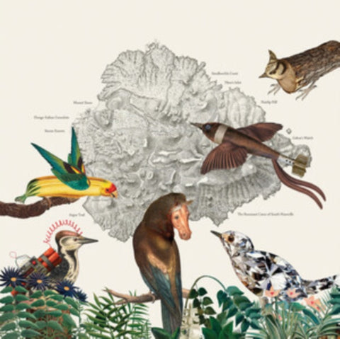 FRIENDLY RICH - BIRDS OF MARSVILLE