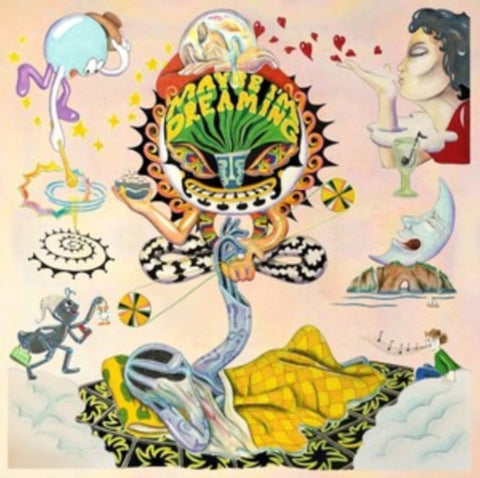 MAYBE I'M DREAMINGIOUS - MAYBE I'M DREAMINGIOUS (2LP)