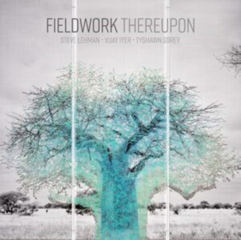FIELDWORK - THEREUPON (Vinyl LP)