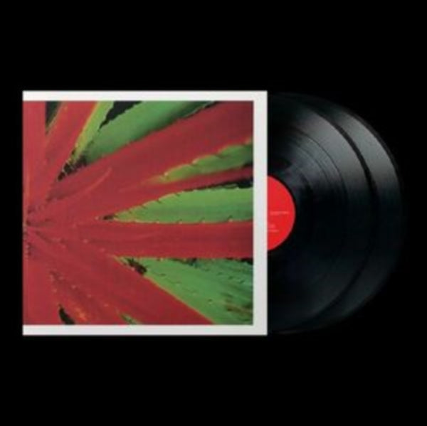 JEJUNE - THIS AFTERNOONS MALADY (2LP) (Vinyl LP) – SoundsLikeVinyl