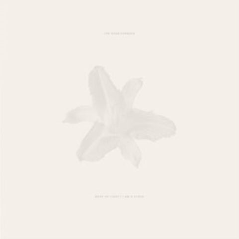 DEAD TONGUES - BODY OF LIGHT / I AM A CLOUD (2CD) (Music CD)