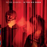 GABRIEL,PETER - IN THE BIG ROOM (180G/2LP) (Vinyl LP)