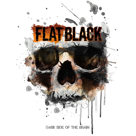 FLAT BLACK - DARK SIDE OF THE BRAIN (2LP) (Vinyl LP)