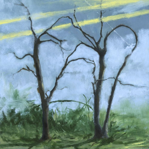 DAFFO - WHERE THE EARTH BENDS (Music CD)