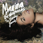 Marina and the Diamonds - Family Jewels (Music CD)