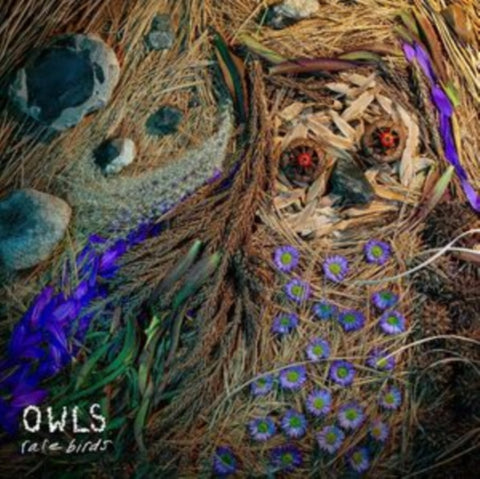 OWLS - RARE BIRDS (Music CD)