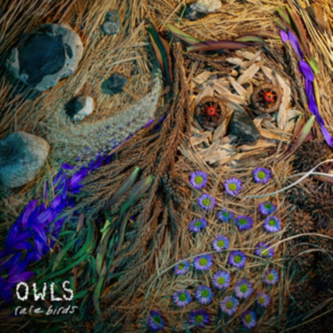 OWLS - RARE BIRDS (Vinyl LP)