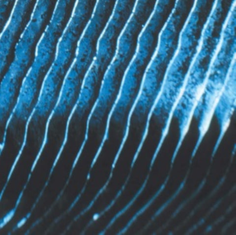 MONOLAKE - GRAVITY (2LP) (Vinyl LP)