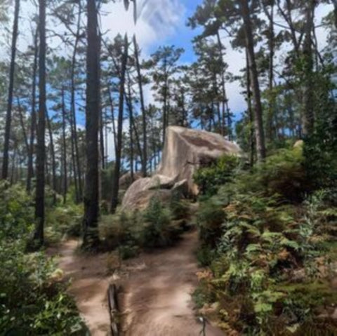 PARAJEKT - PARAJEKT (Vinyl LP)