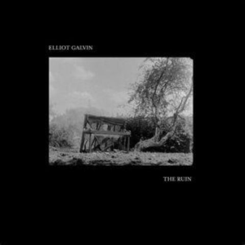 GALVIN,ELLIOT - RUIN (Vinyl LP)