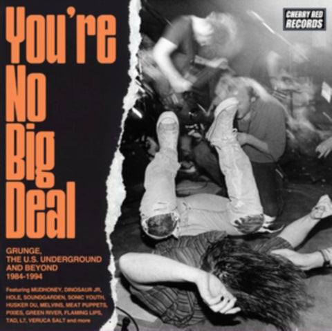 VARIOUS ARTISTS - YOU'RE NO BIG DEAL - GRUNGE, THE U.S. UNDERGROUND & BEYOND 1984-1 (Music CD)