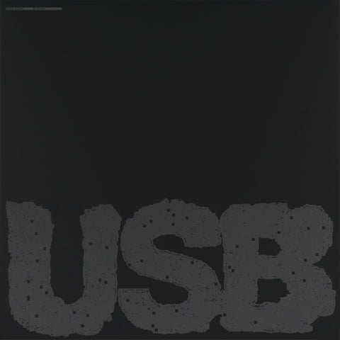 FRED AGAIN… - USB002 (2LP) (Vinyl LP)