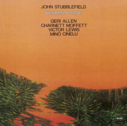 STUBBLEFIELD,JOHN - BUSHMAN SONG (Vinyl LP)