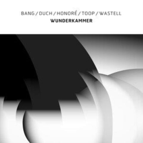 BANG; DUCH; HONORE; TOOP; WASTELL - WUNDERKAMMER (Vinyl LP)