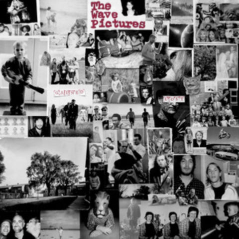 WAVE PICTURES - GAINED/LOST (Music CD)