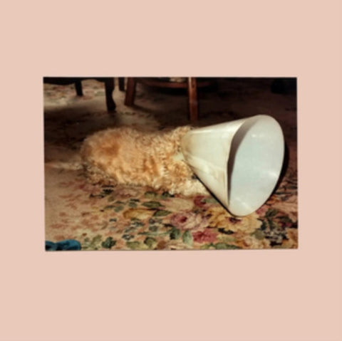 LANGKAMER - NO (WHITE VINYL) (Vinyl LP)