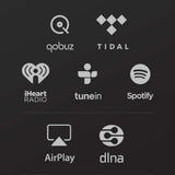 Songbird Internet Music Streamer