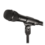 Audio-Technica Cardioid Condenser Handheld Microphone (AT2010)