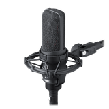 Audio-Technica Stereo Condenser Microphone (AT4050ST)