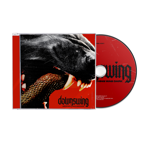 Downswing - And Everything Was Dark CD