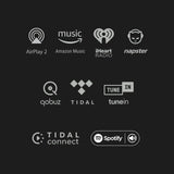 Songbird HR Hi-Res Internet Music Streamer