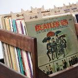 The Vinyl Record Dividers