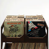 The Vinyl Record Dividers