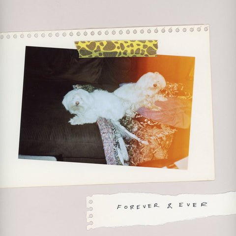 SALES - FOREVER & EVER (Vinyl LP)