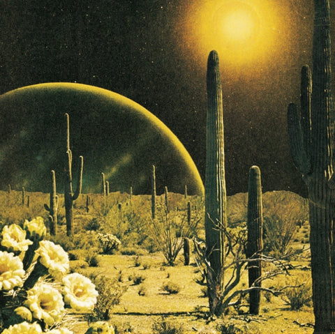 DECKER. - BORN TO WAKE UP (Vinyl LP)