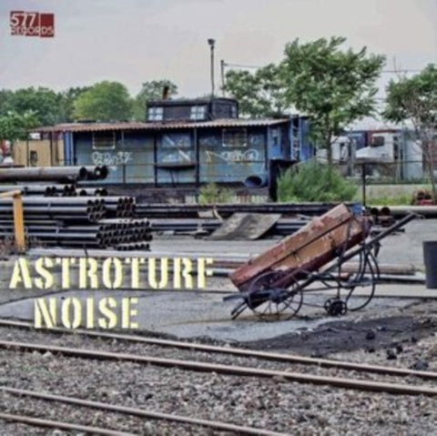 ASTROTURF NOISE - ASTROTURF NOISE (DL CARD)(Vinyl LP)