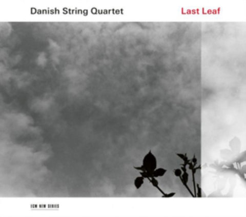 DANISH STRING QUARTET - LAST LEAF (LP) (Vinyl LP)