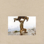 SHELLAC - DUDE INCREDIBLE (Vinyl LP)