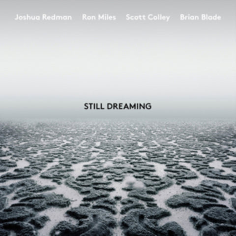 REDMAN,JOSHUA - STILL DREAMING (Vinyl LP)