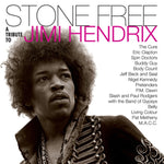 HENDRIX,JIMI TRIBUTE - STONE FREE: JIMI HENDRIX TRIBUTE (BLACK & CLEAR VINYL) (ROCKTOBER (Vinyl LP)