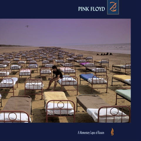 PINK FLOYD - MOMENTARY LAPSE OF REASON (2011 REMASTERED) (Vinyl LP)