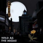 FRUITION - WILD AS THE NIGHT, BROKEN AT THE BREAK OF DAY (Vinyl LP)
