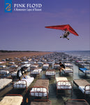 PINK FLOYD - MOMENTARY LAPSE OF REASON (REMIXED & UPDATED) (CD/BLU-RAY)