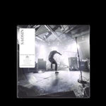 SAOSIN - TRANSLATING THE NAME (PICTURE DISC) (Vinyl LP)