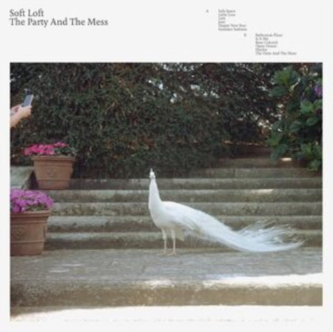 SOFT LOFT - PARTY & THE MESS (Vinyl LP)