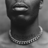 DMX - EXODUS (Explicit, Vinyl LP)